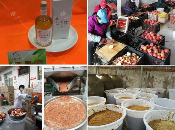 大型釀酒設(shè)備做蘋果酒，“花樣”賺錢