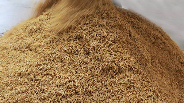 固態(tài)釀酒加輔料，這2點(diǎn)沒(méi)做好，酒里全是異雜味！