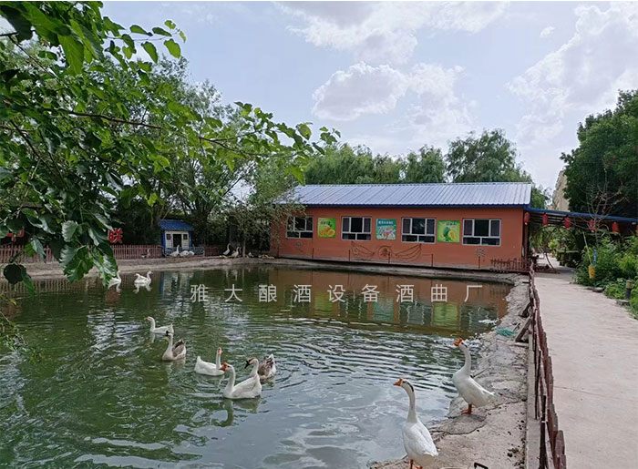 在農(nóng)村搞套白酒釀酒設(shè)備釀酒